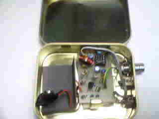pixie in a small candy tin
