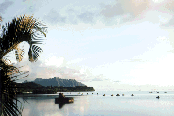 Kaneohe bay WB6FZH QTH