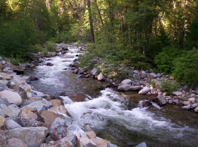 Trinity Center Area Creek