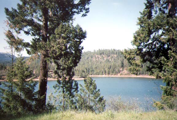 Trinity County